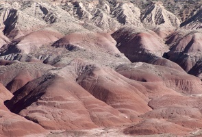 317-2796 Painted Desert